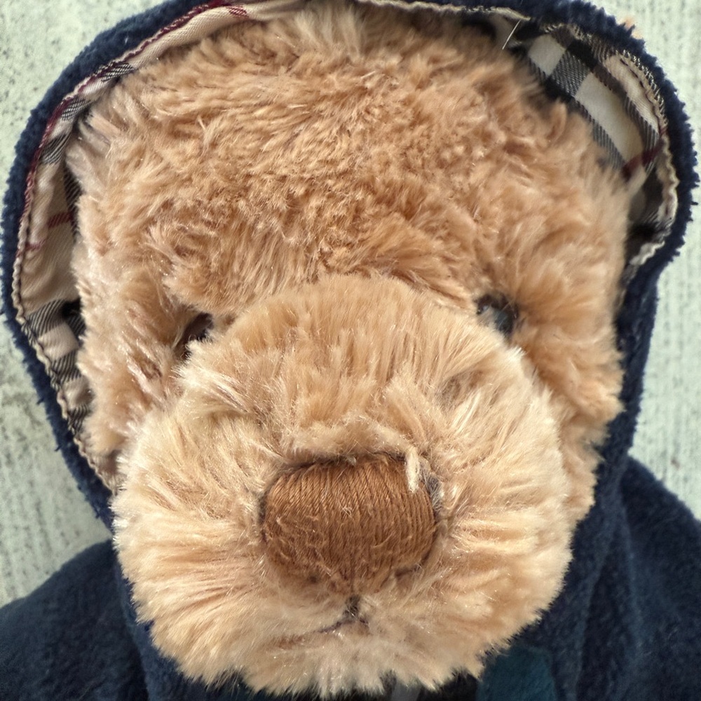 Burberry 2009 Brown Teddy Bear with Navy Blue Hoodie-signature Burberry pattern. - Picture 2 of 8